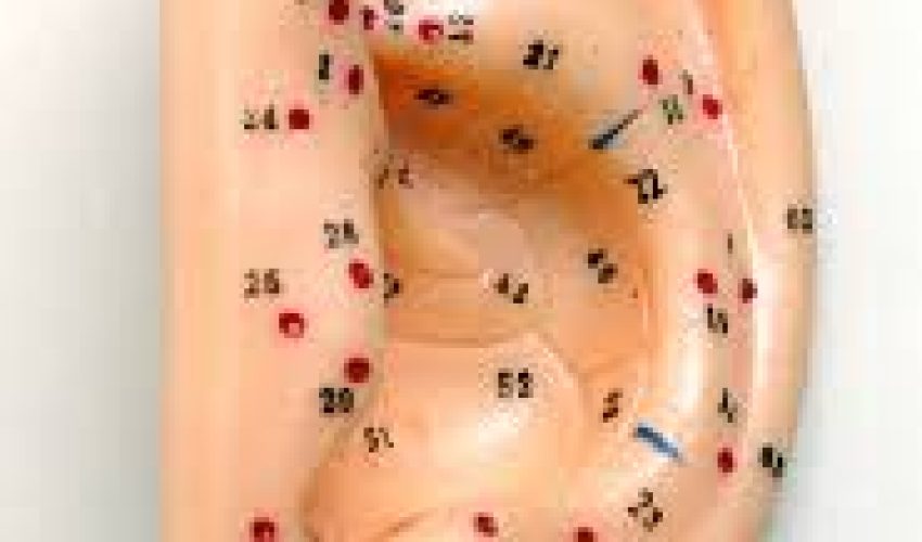 téléchargement (10)