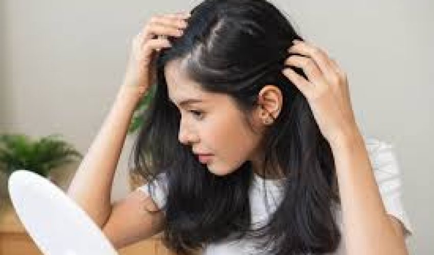 téléchargement (5)