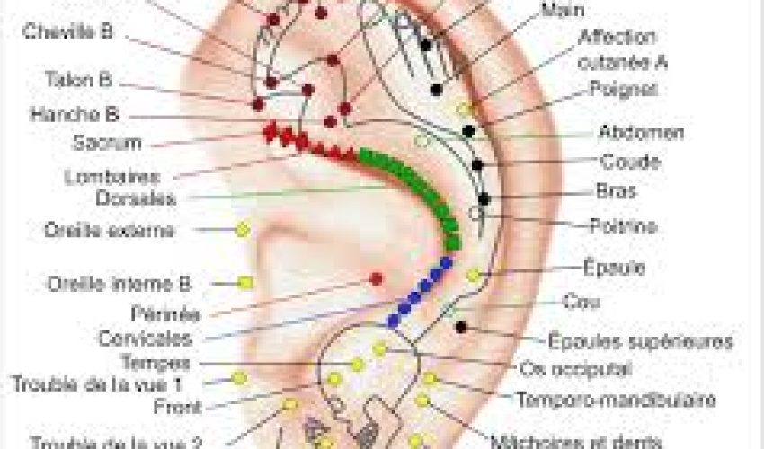 téléchargement (8)